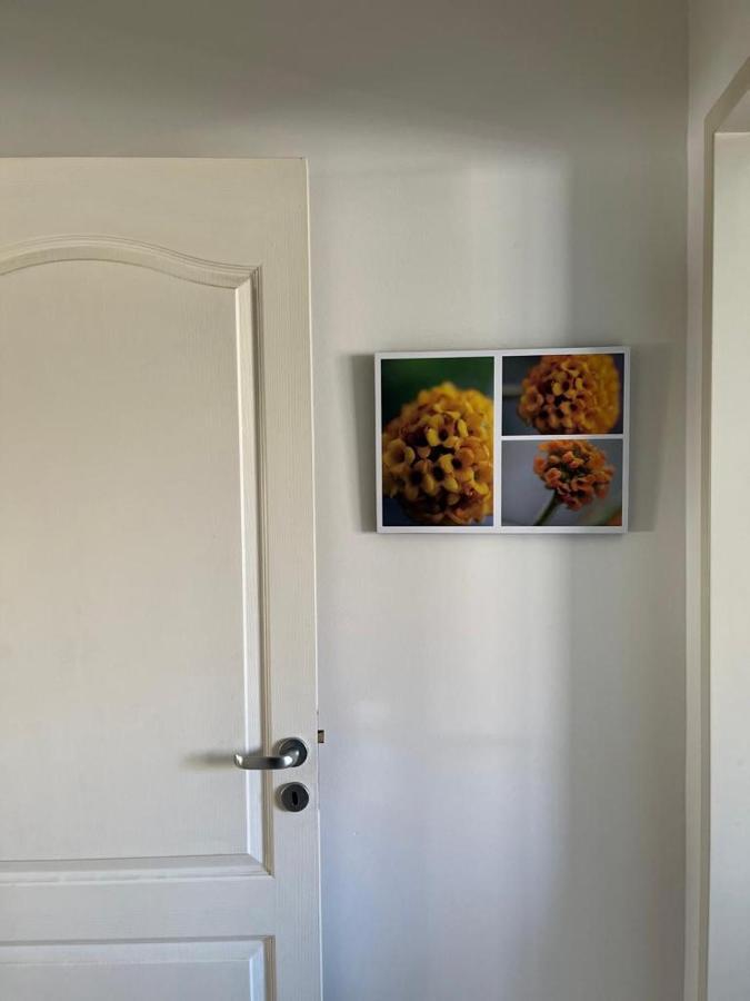 Dulce Morada Apartment La Cieneguita ภายนอก รูปภาพ